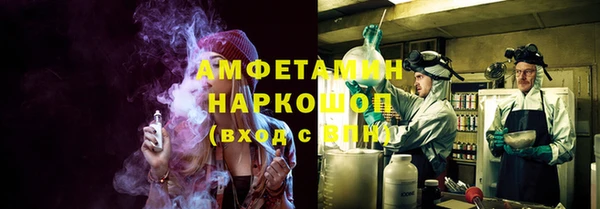 молекула духа Алексеевка