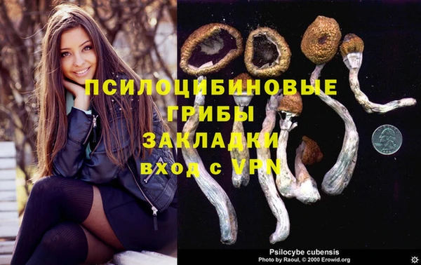 СК Алексин