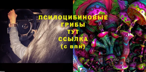 СК Алексин