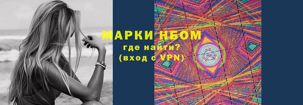 СК Алексин