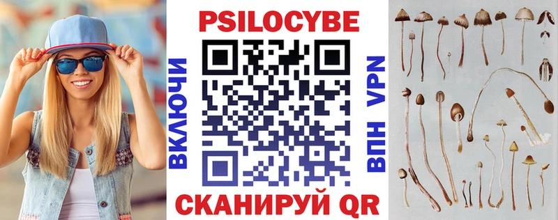 Псилоцибиновые грибы прущие грибы Катав-Ивановск