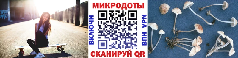площадка как зайти  Катав-Ивановск  Псилоцибиновые грибы ЛСД 